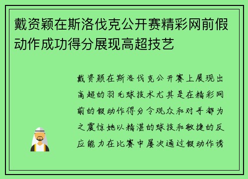 戴资颖在斯洛伐克公开赛精彩网前假动作成功得分展现高超技艺 戴资颖在斯洛伐克公开赛精彩网前假动作成功得分展现高超技艺